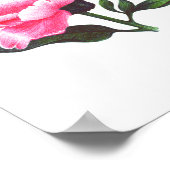 Poster d'illustration de stylo Peony Flower (Coin)