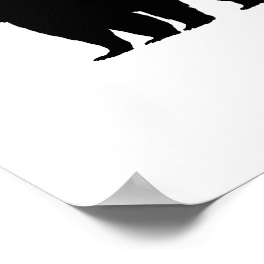 Poster d'illustration d'ours noir (Coin)