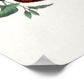 Poster d'illustration papillon (Coin)