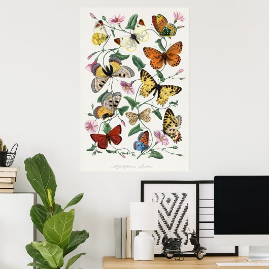 Poster d'illustration papillon (Bureau à domicile)