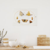 Poster d'illustration papillon (Cuisine)