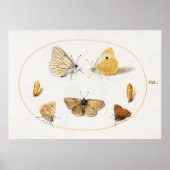 Poster d'illustration papillon (Devant)