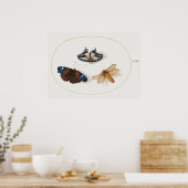 Poster d'illustration papillon (Cuisine)