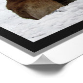 Poster d'images 3D Golden Conservatory-Central Par (Coin)