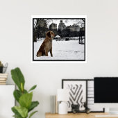 Poster d'images 3D Golden Conservatory-Central Par (Bureau à domicile)