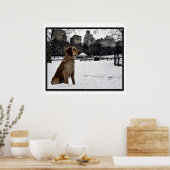 Poster d'images 3D Golden Conservatory-Central Par (Cuisine)