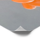 Poster d'images en miroir (Coin)