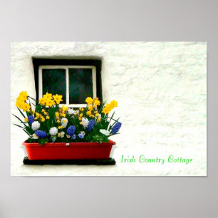 Poster d'images irlandaises