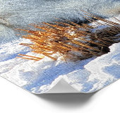 Poster d'Imaginaire de Jour des terres Polar Bear  (Coin)