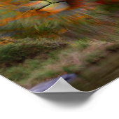 Poster d'Imaginaire de Lion Fall Foliage (Coin)