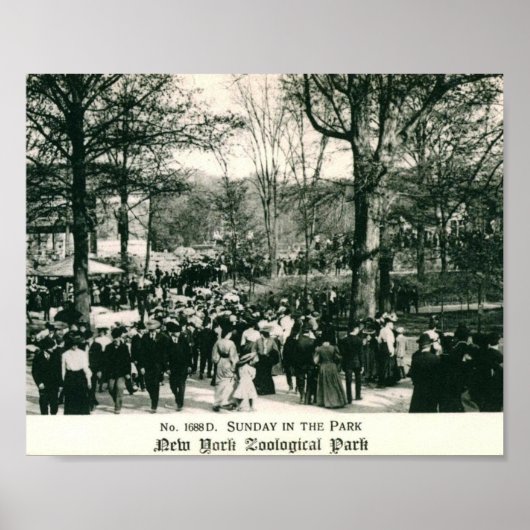 Poster Dimanche au Bronx Zoo Vintage (Devant)