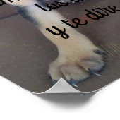 Poster Dime como eres con los animaux (Coin)