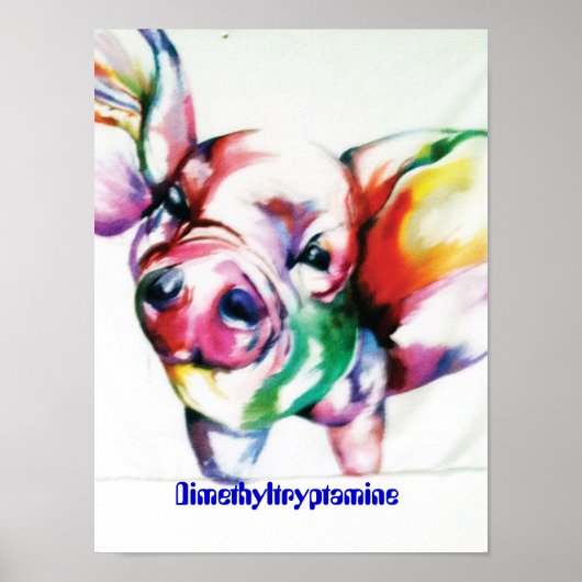 Poster Diméthyltryptamine (Devant)