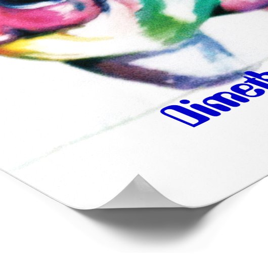 Poster Diméthyltryptamine (Coin)