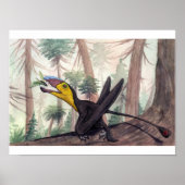Poster Dimorphodon (Devant)