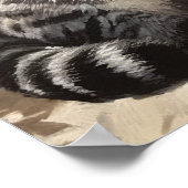 Poster d'impression American Shorthair Cat Art (Coin)