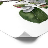 Poster d'impression Apple Blossoms Flower Art (Coin)