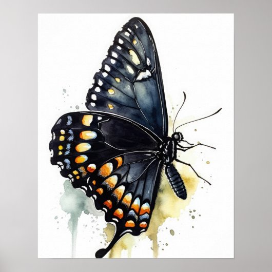 Poster d'impression Black Swallowtail Button Art (Devant)