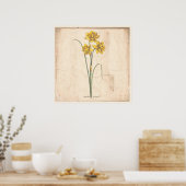 Poster d'impression botanique antique Jonquils (Cuisine)