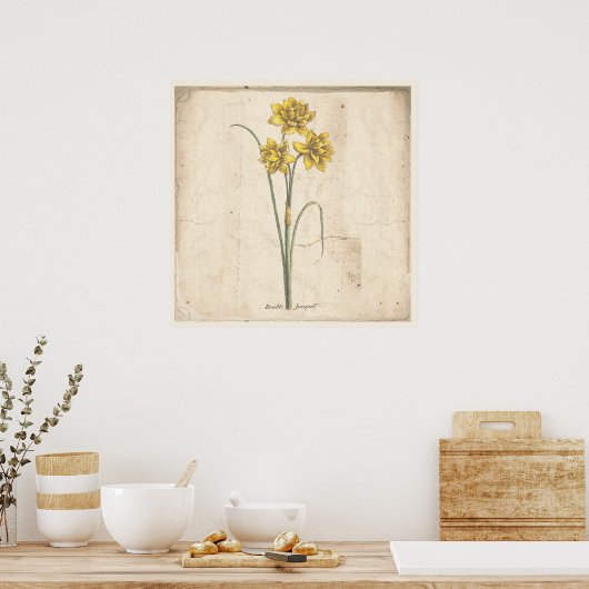 Poster d'impression botanique antique Jonquils (Cuisine)