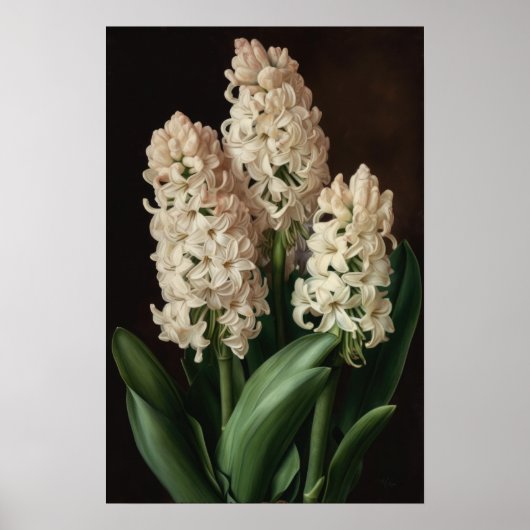 Poster d'impression Cream Hyacinth (Devant)