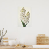 Poster d'impression Cream Hyacinth (Cuisine)