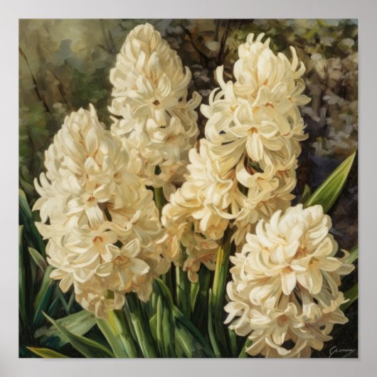 Poster d'impression Cream Hyacinth (Devant)