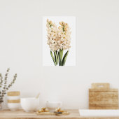 Poster d'impression Cream Hyacinth (Cuisine)