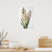Poster d'impression Cream Hyacinth (Cuisine)