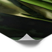Poster d'impression Cream Hyacinth (Coin)