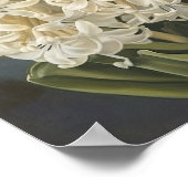 Poster d'impression Cream Hyacinth (Coin)