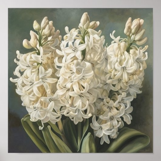 Poster d'impression Cream Hyacinth (Devant)