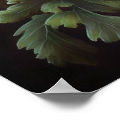 Poster d'impression d'Anemone Rouge (Coin)
