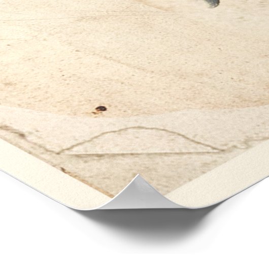 Poster d'impression d'antan Jasmine (Coin)