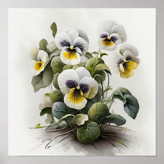 Poster d'impression d'art à la Fleur de Violas Bla (Devant)