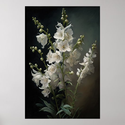 Poster d'impression d'art blanc Larkspur (Devant)