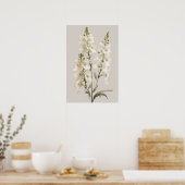 Poster d'impression d'art blanc Larkspur (Cuisine)