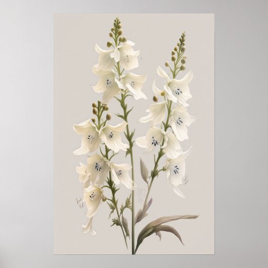 Poster d'impression d'art blanc Larkspur (Devant)