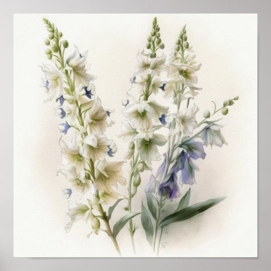 Poster d'impression d'art blanc Larkspur (Devant)