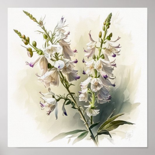 Poster d'impression d'art blanc Larkspur (Devant)