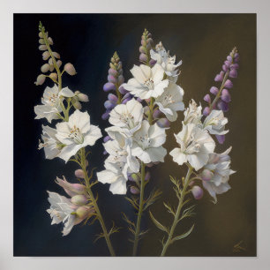 Poster d'impression d'art blanc Larkspur
