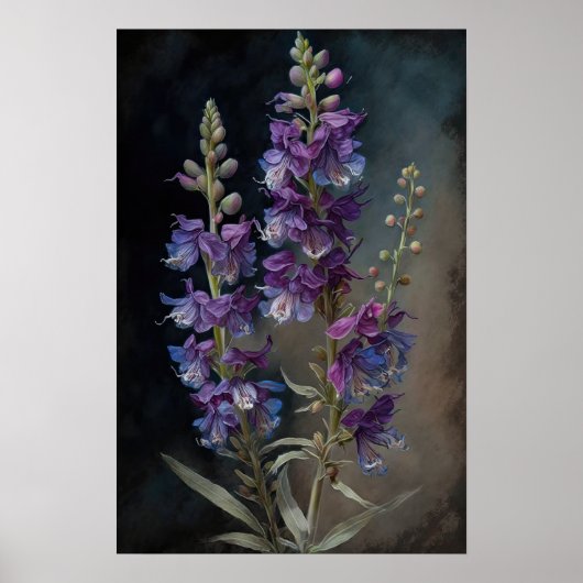 Poster d'impression d'art de la fleur de Larkspur  (Devant)