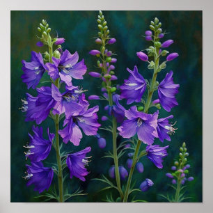 Poster d'impression d'art de la fleur de Larkspur 
