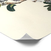 Poster d'impression d'art en crème blanche (Coin)