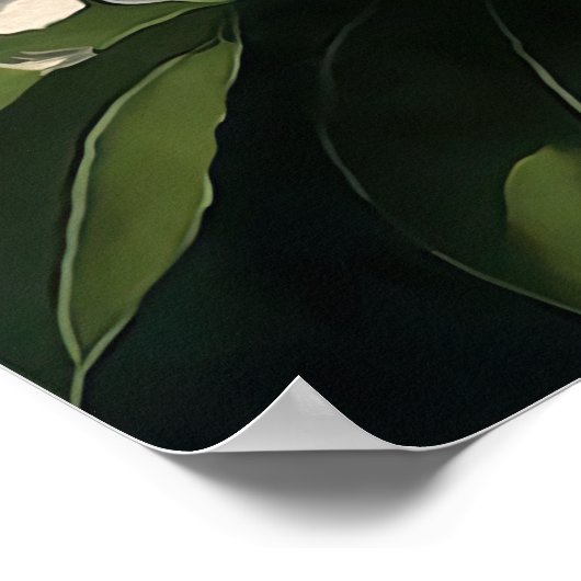 Poster d'impression d'art en crème blanche (Coin)