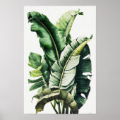 Poster d'impression d'art Feuille Banana (Devant)