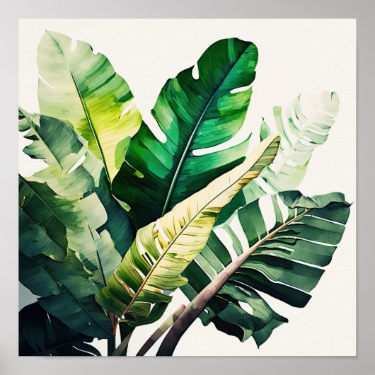 Poster d'impression d'art Feuille Banana (Devant)