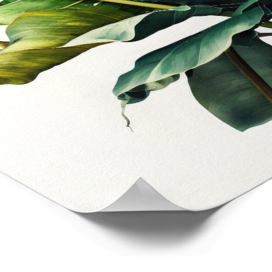Poster d'impression d'art Feuille Banana (Coin)