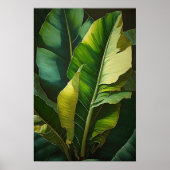 Poster d'impression d'art Feuille Banana (Devant)