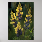 Poster d'impression d'Art Lupine Jaune (Devant)